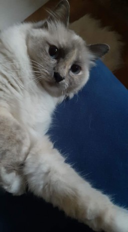 received_2319694705000359