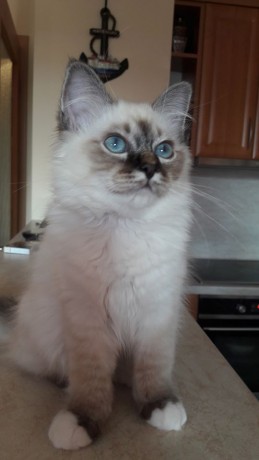 95831765_2554438654869936_4228037626625523712_o