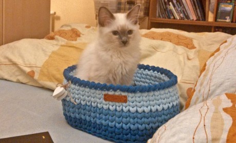 IMG-5a2ebe95b97da358f4b353cca3a987e2-V