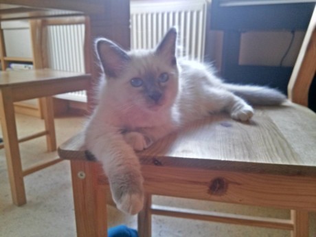 IMG-79ba89db3eafe318fcbccb5ae79d000f-V