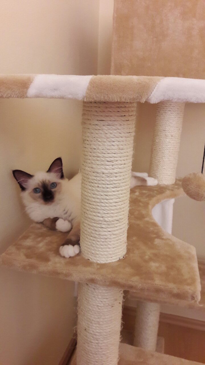 IMG-b36f7ff40a560a73483fd0c0e0a201cf-V