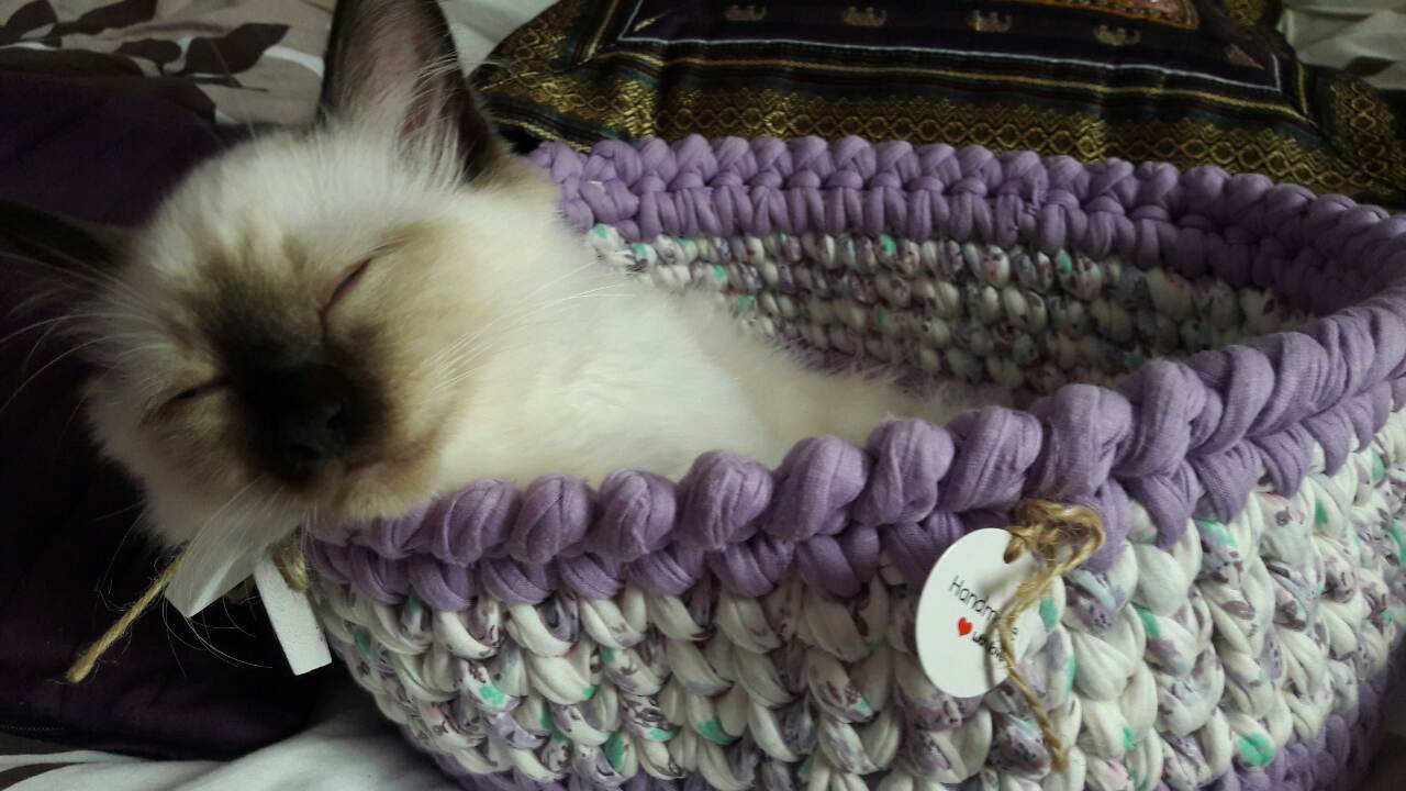 IMG-d3f9ce3b71fda6f1aa3dfd67c008d31a-V