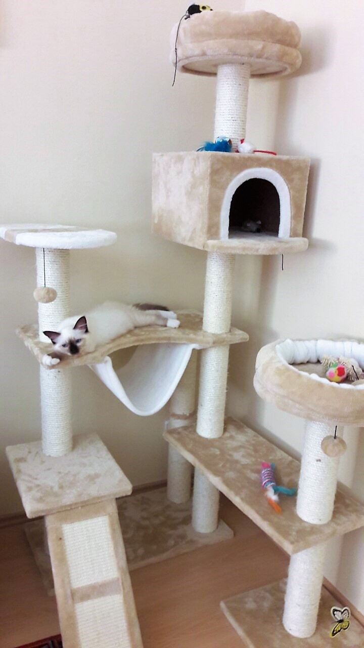 IMG-dbd7205de05f46222ac9744f767707ef-V