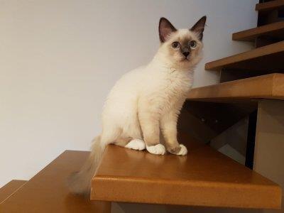 telefon 18.7.2018 208