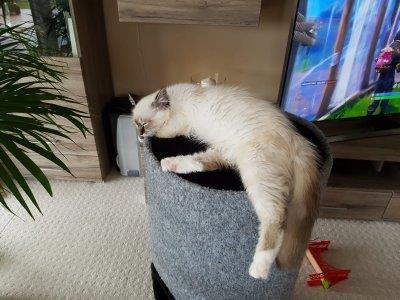 telefon 18.7.2018 210