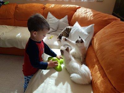 telefon 18.7.2018 333