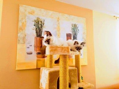 telefon 18.7.2018 487