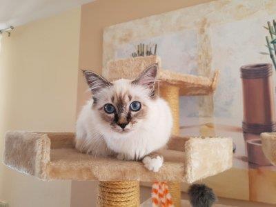 telefon 18.7.2018 521