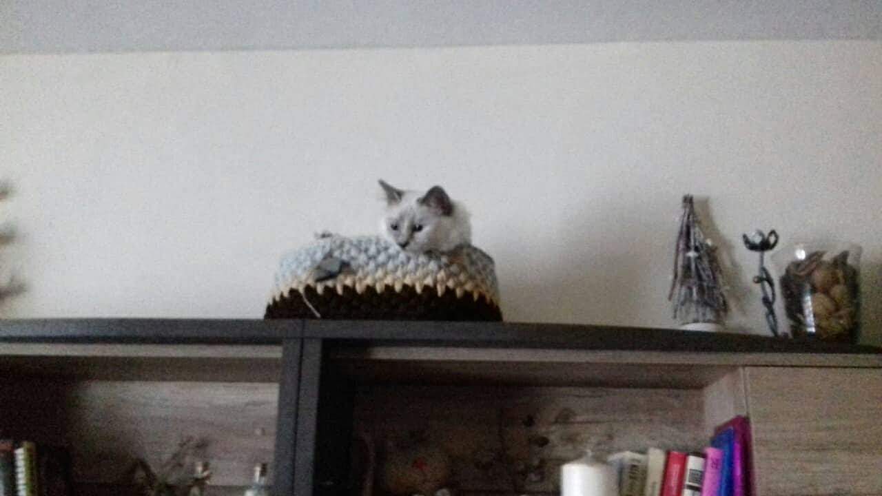 received_240412076832720