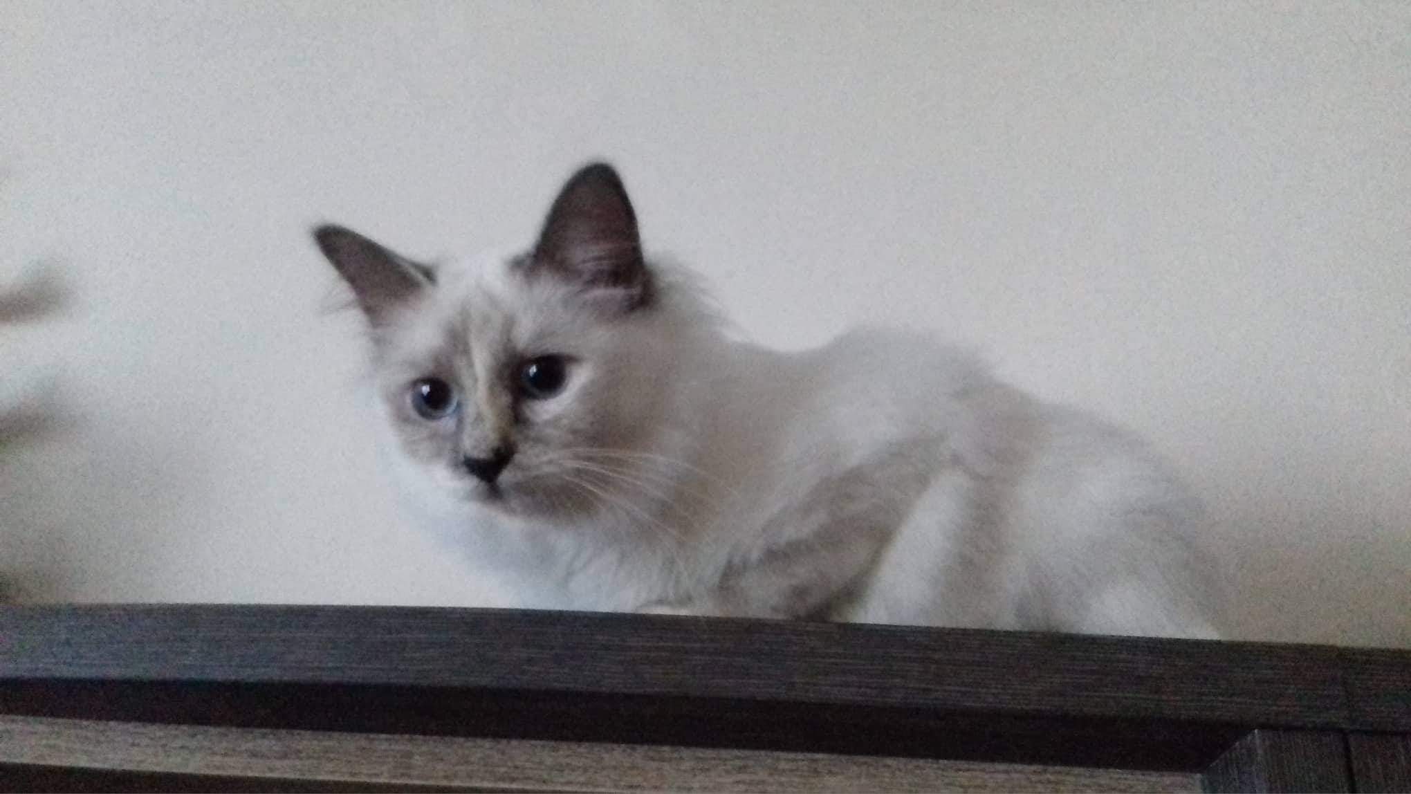 received_241490566523037