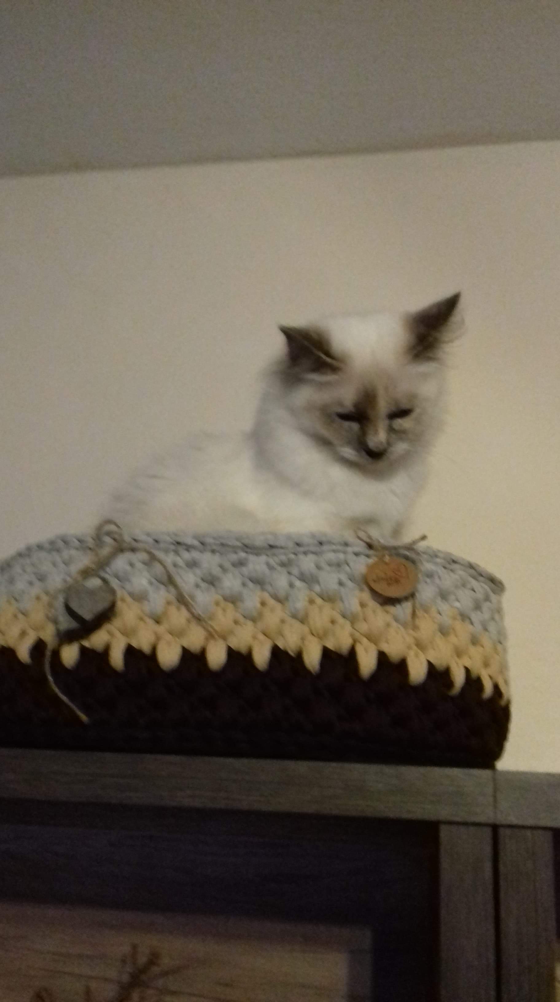 received_252105318985007