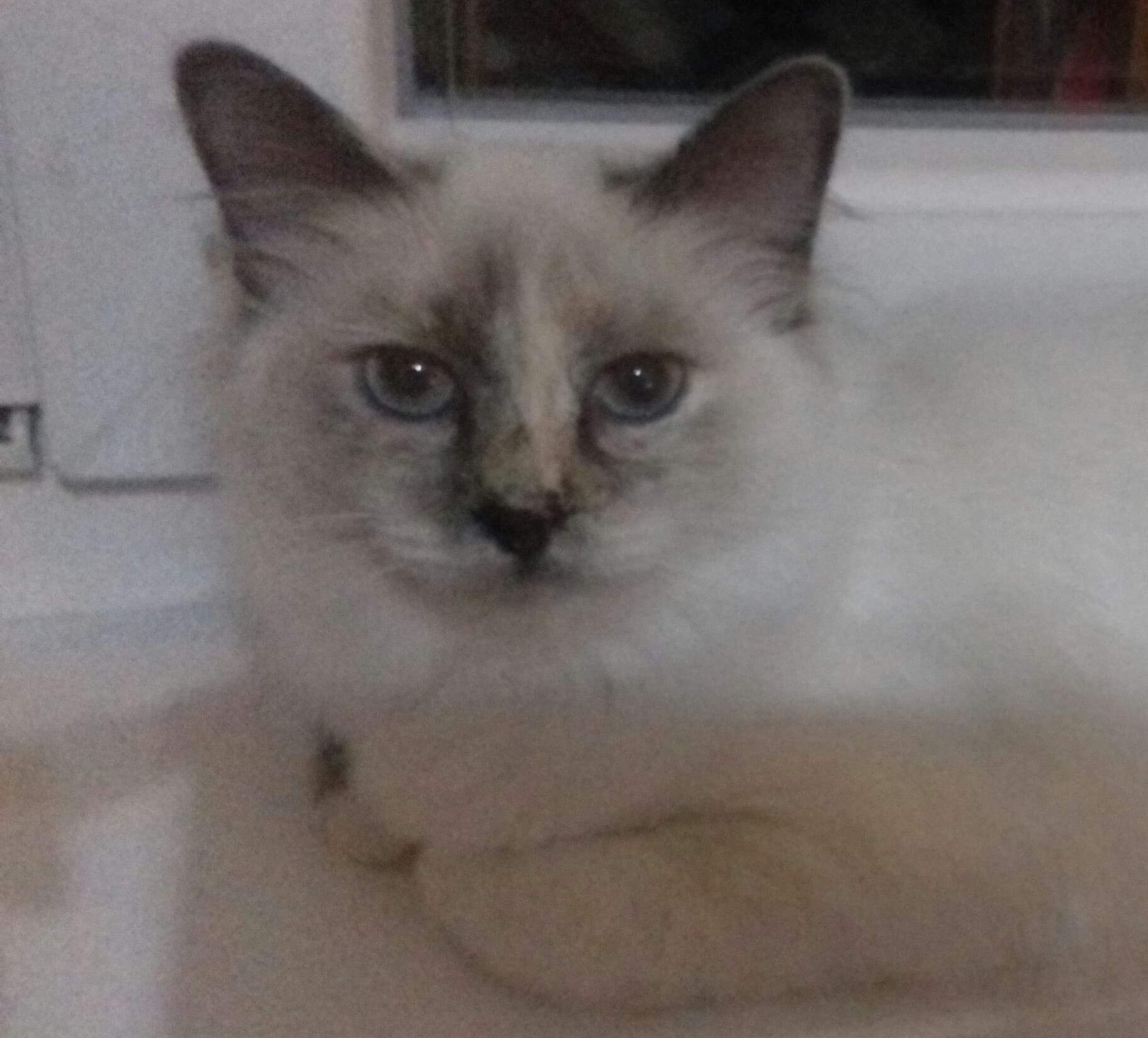 received_310622973090221