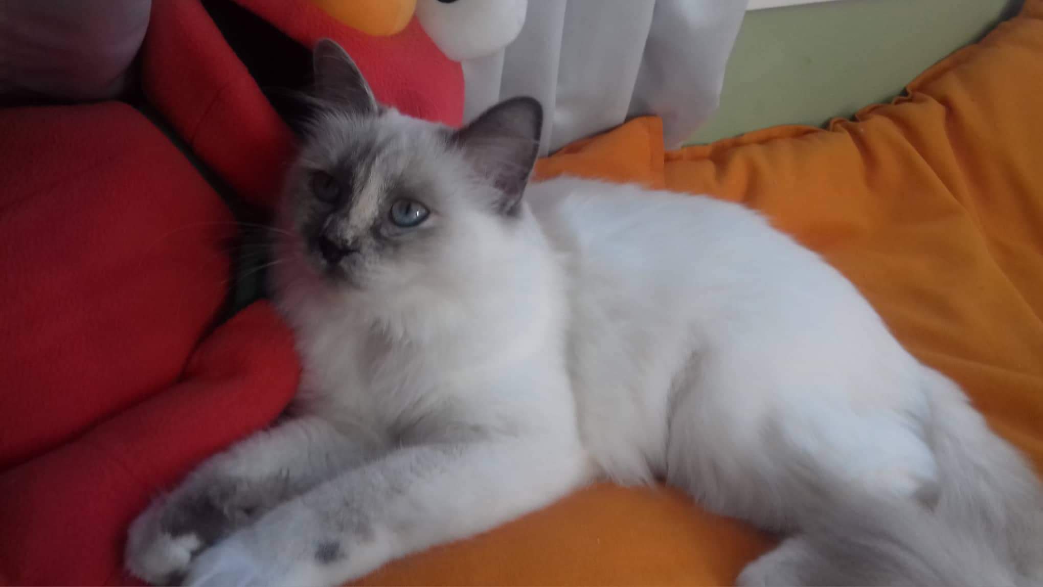 received_328861661032626