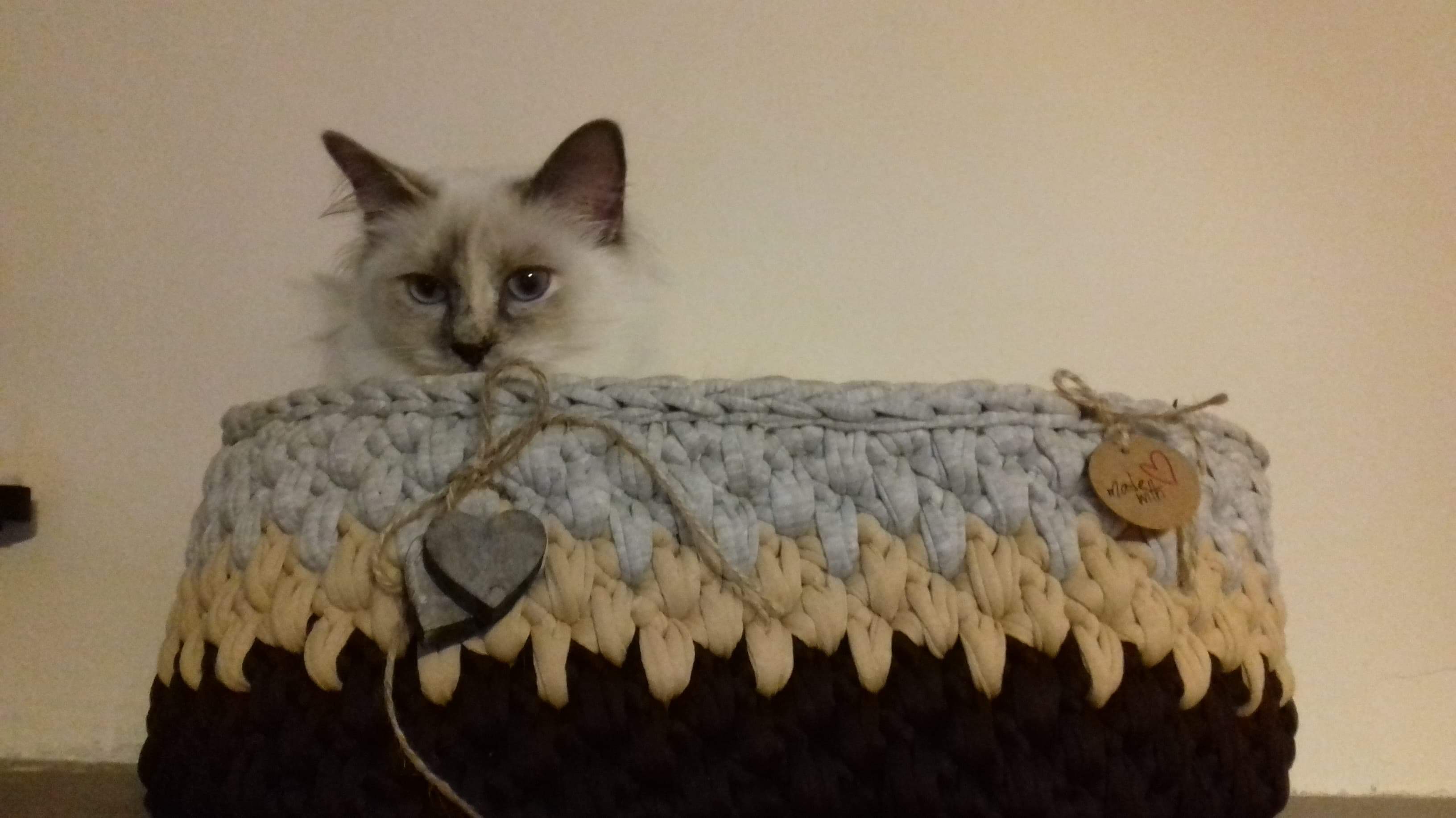 received_335819826977263