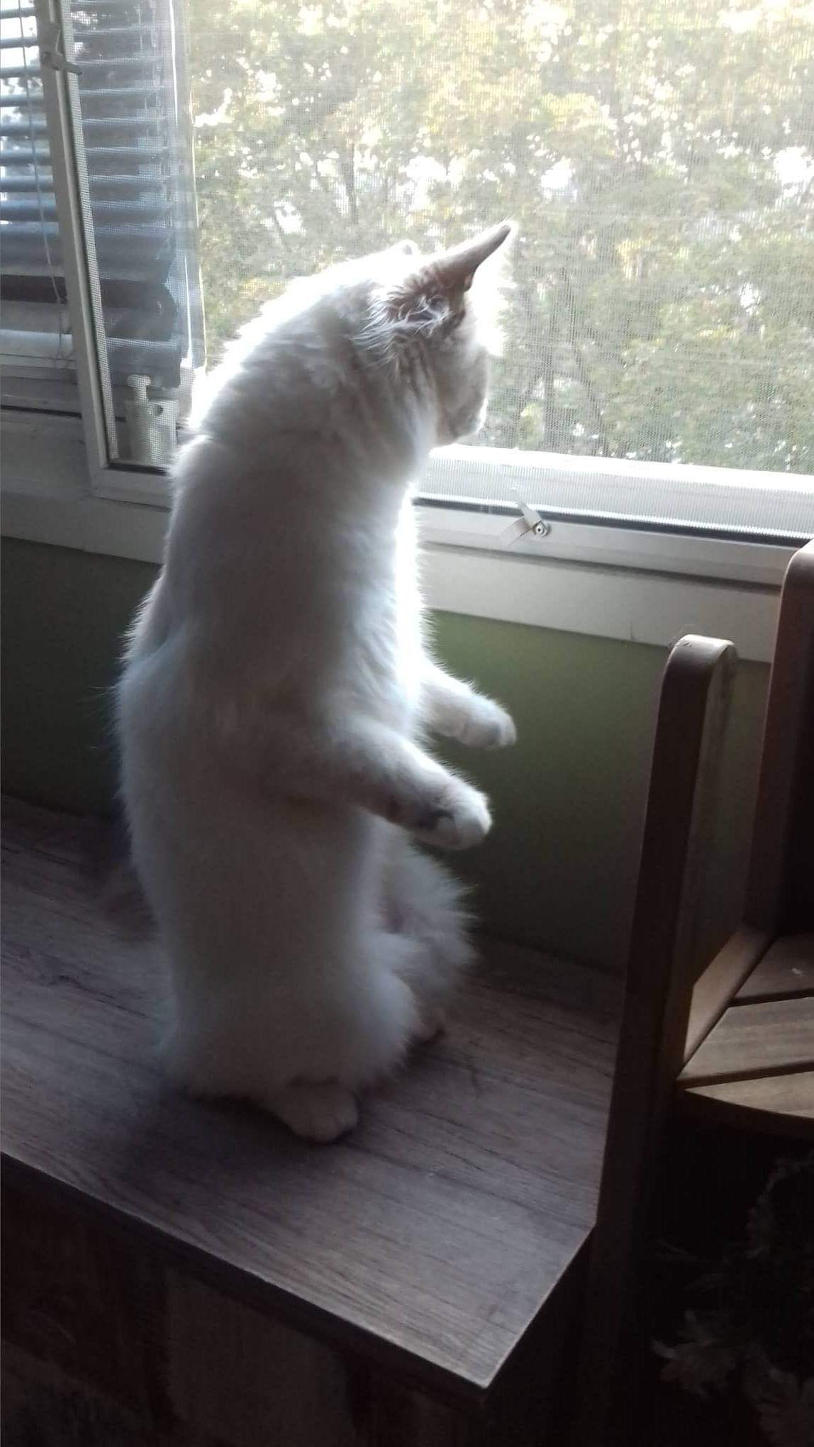 received_421678315029484