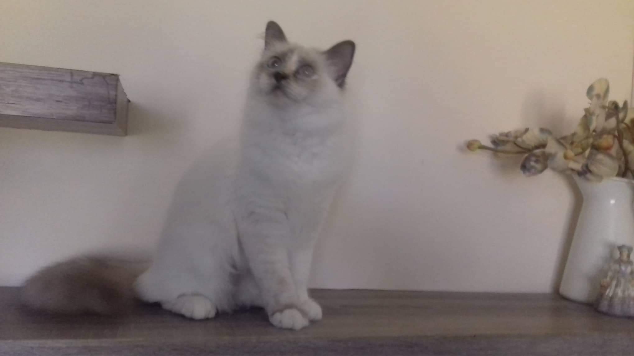 received_572618439838839