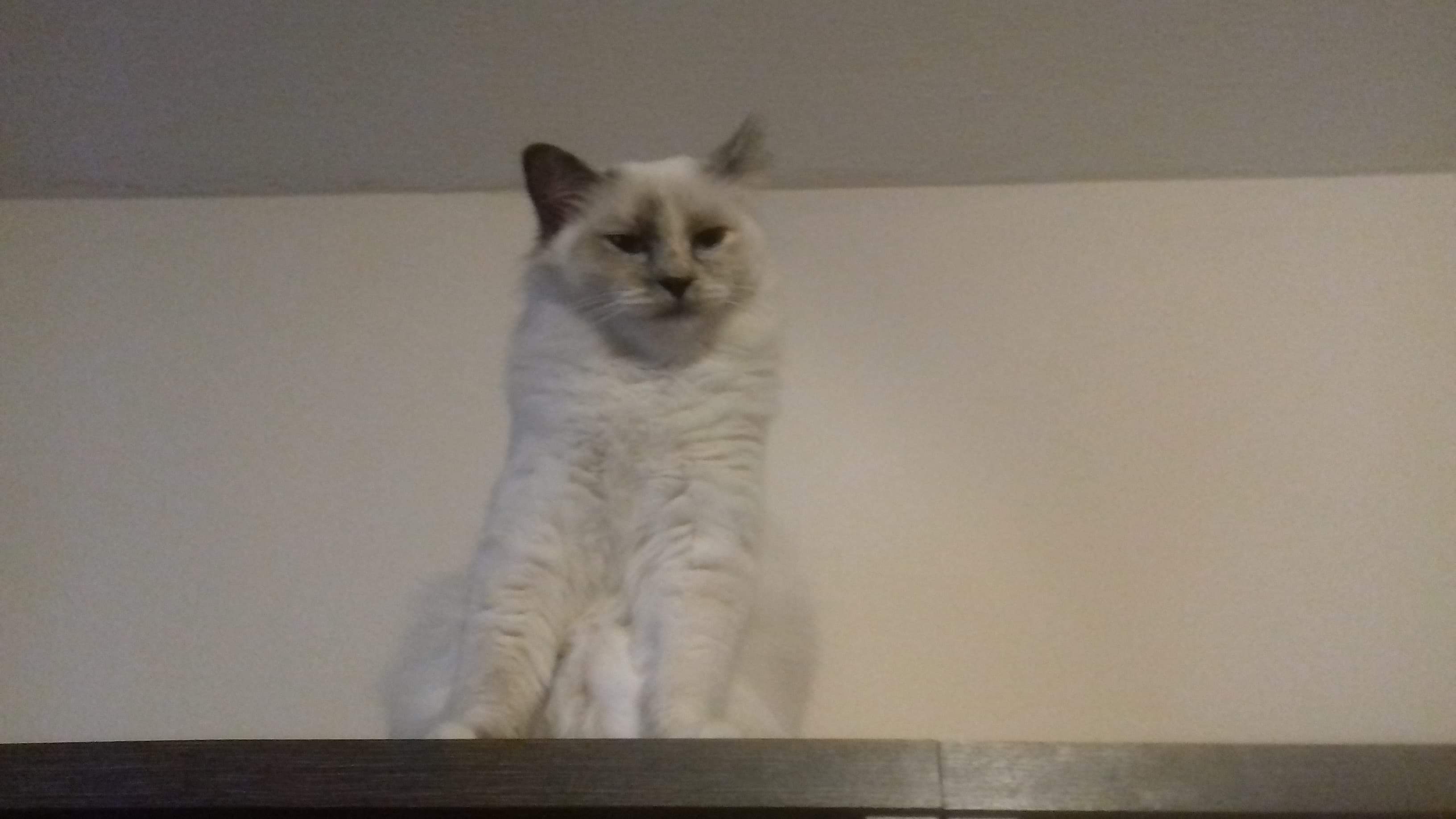 received_599551477128614