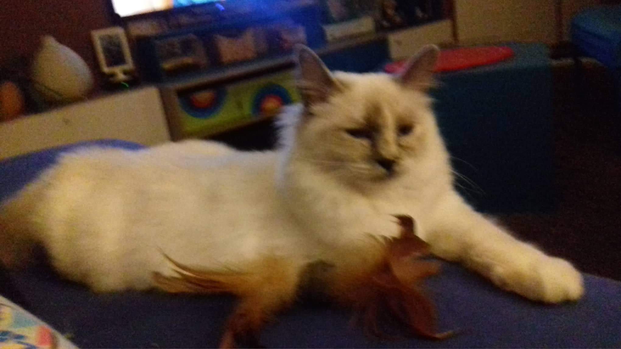 received_615568728861946