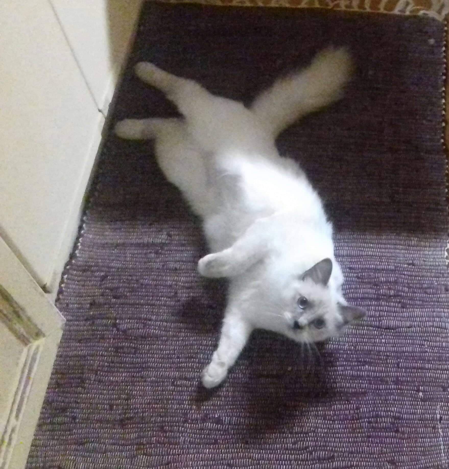 received_1925391404423547