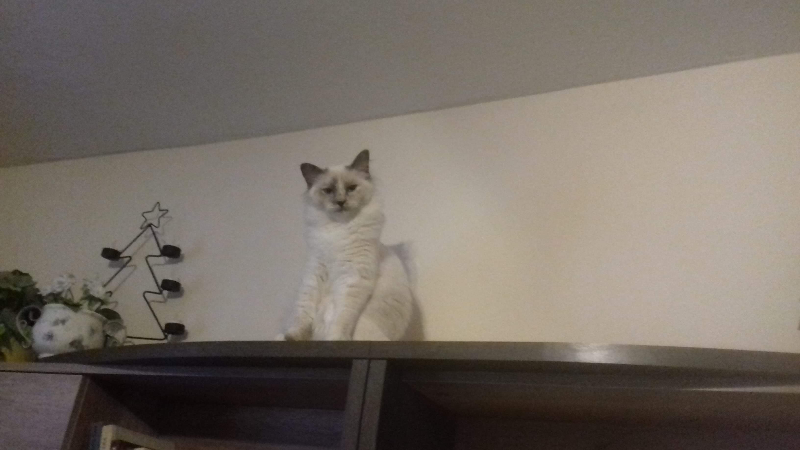 received_2656861230991502