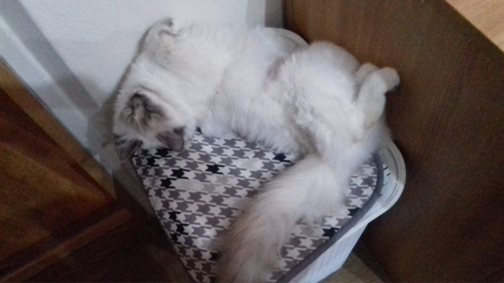 received_309746412957402