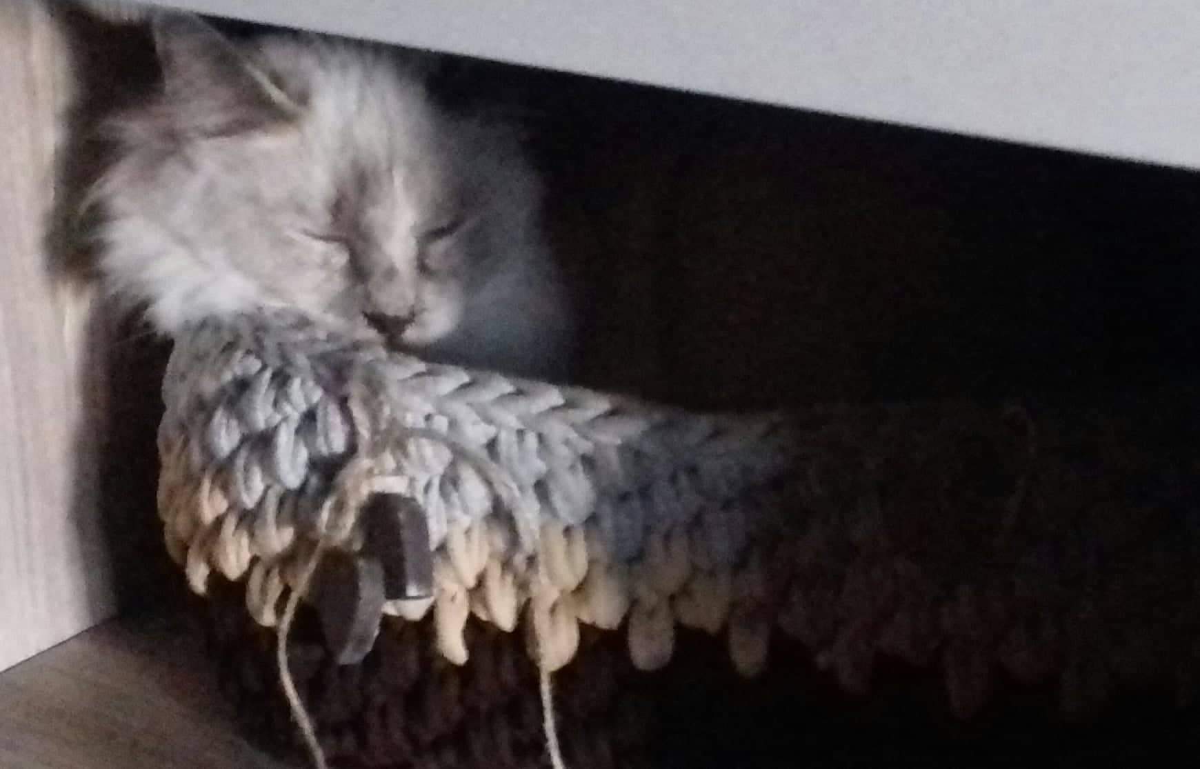 received_485477251948824