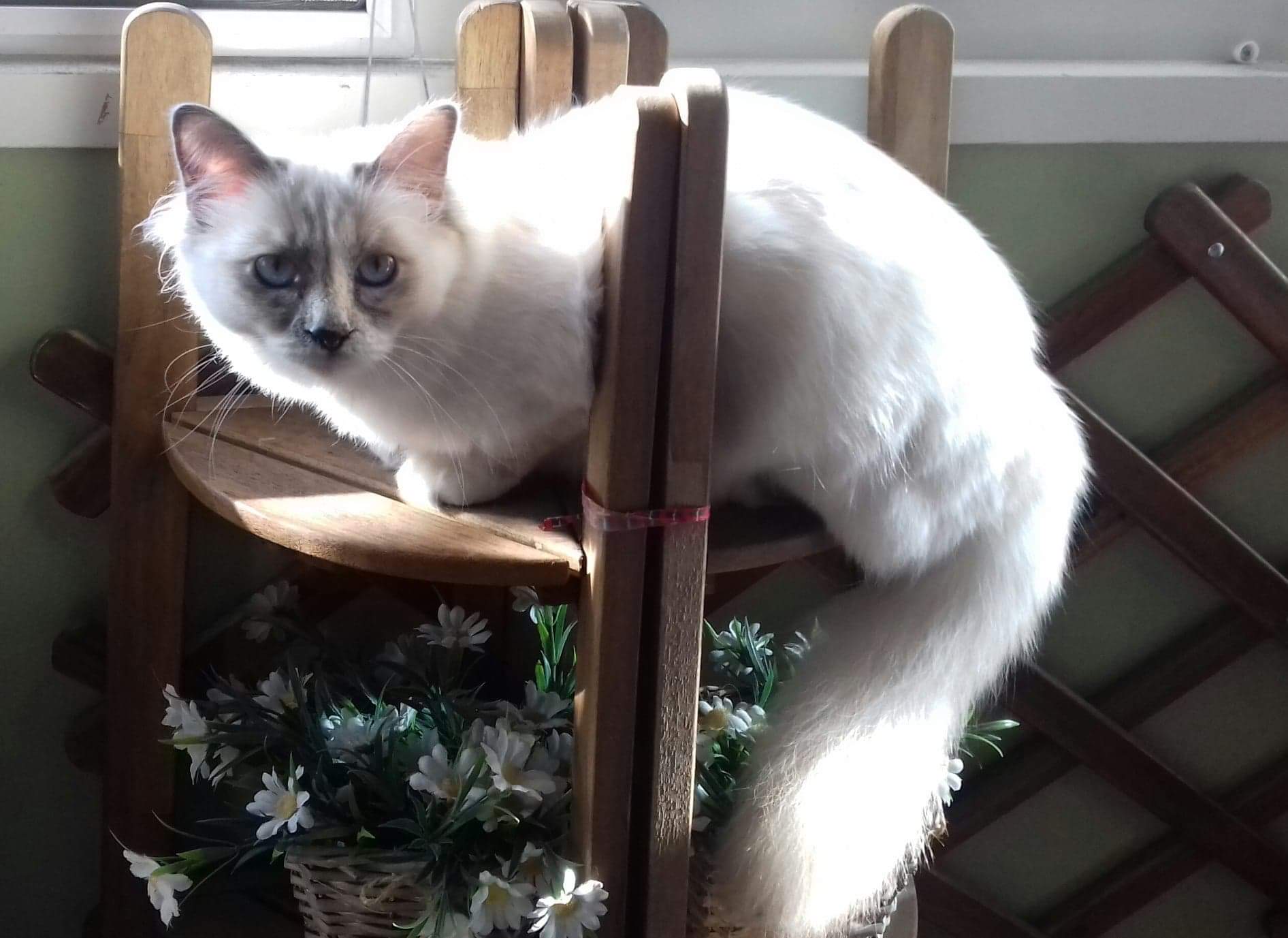 received_2228075184136260