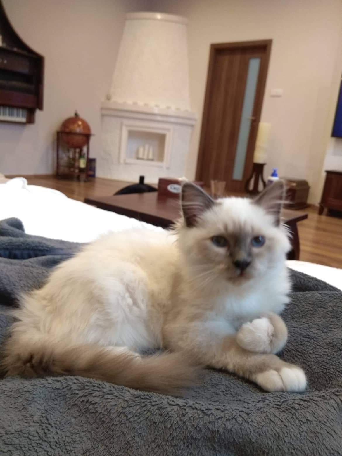 received_347273115832291