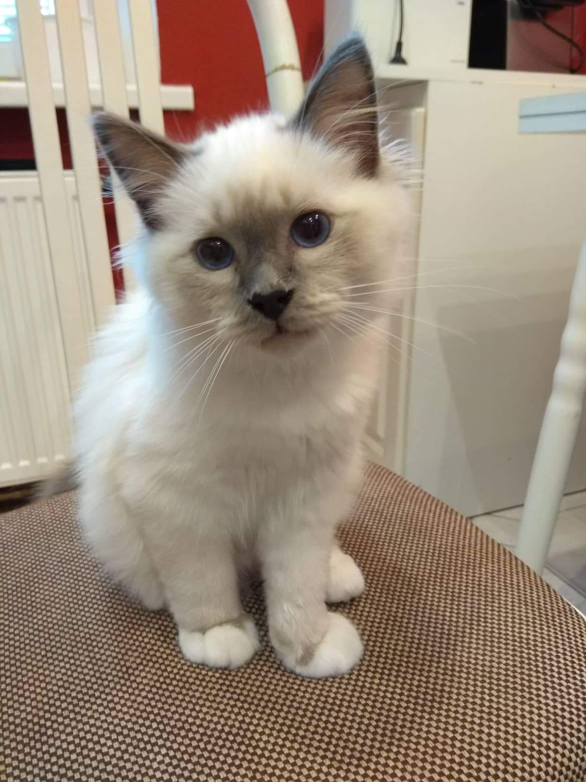 received_487544641750175