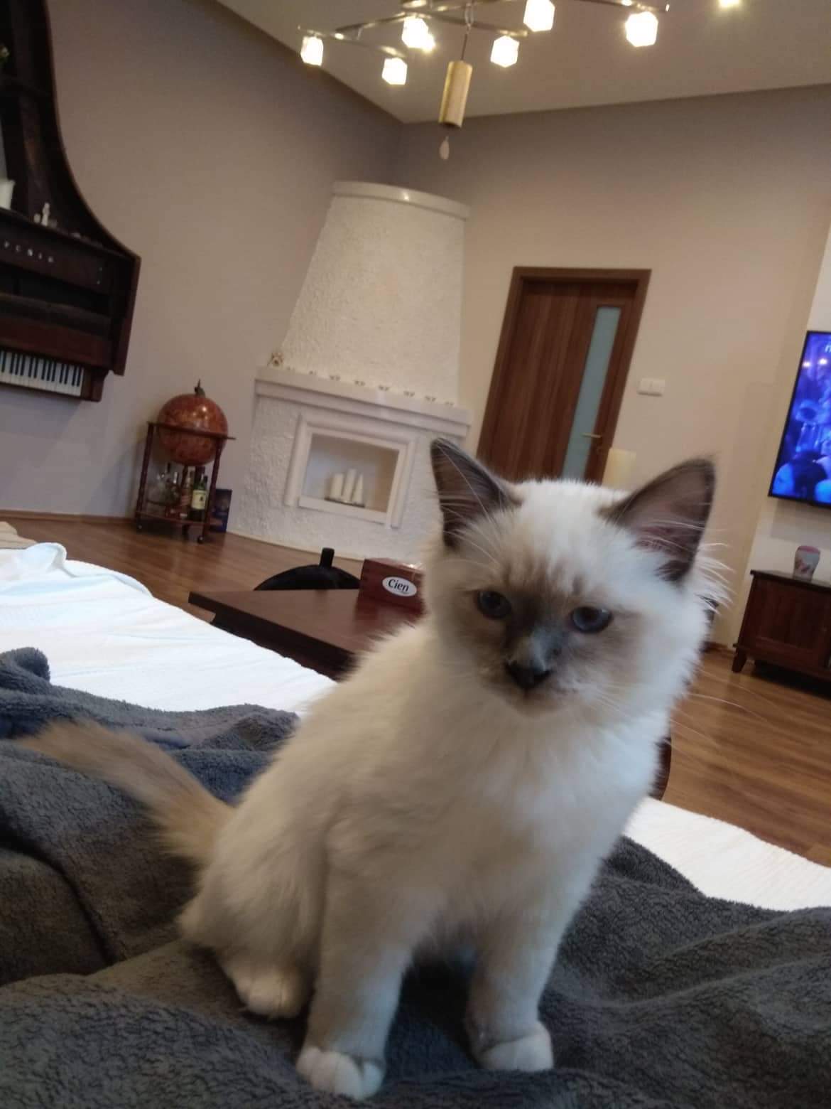 received_1830737993705925