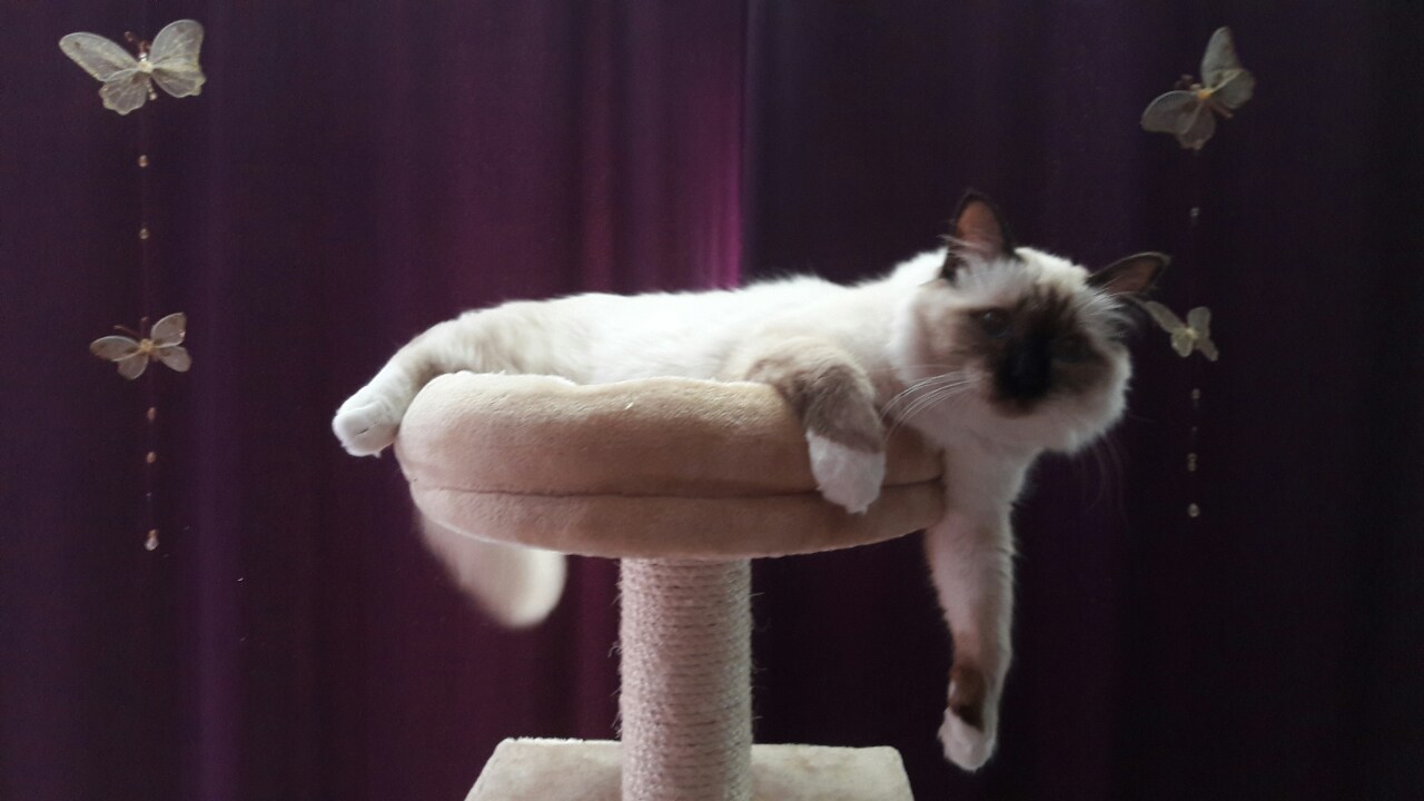 IMG-8ecf0bee28904de067bd6b85e070f840-V