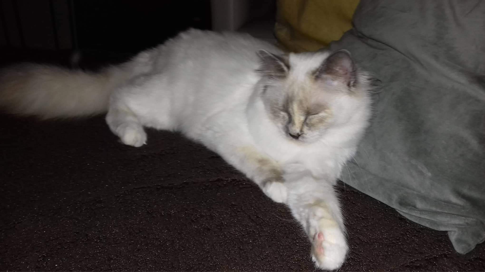 received_193754698170263