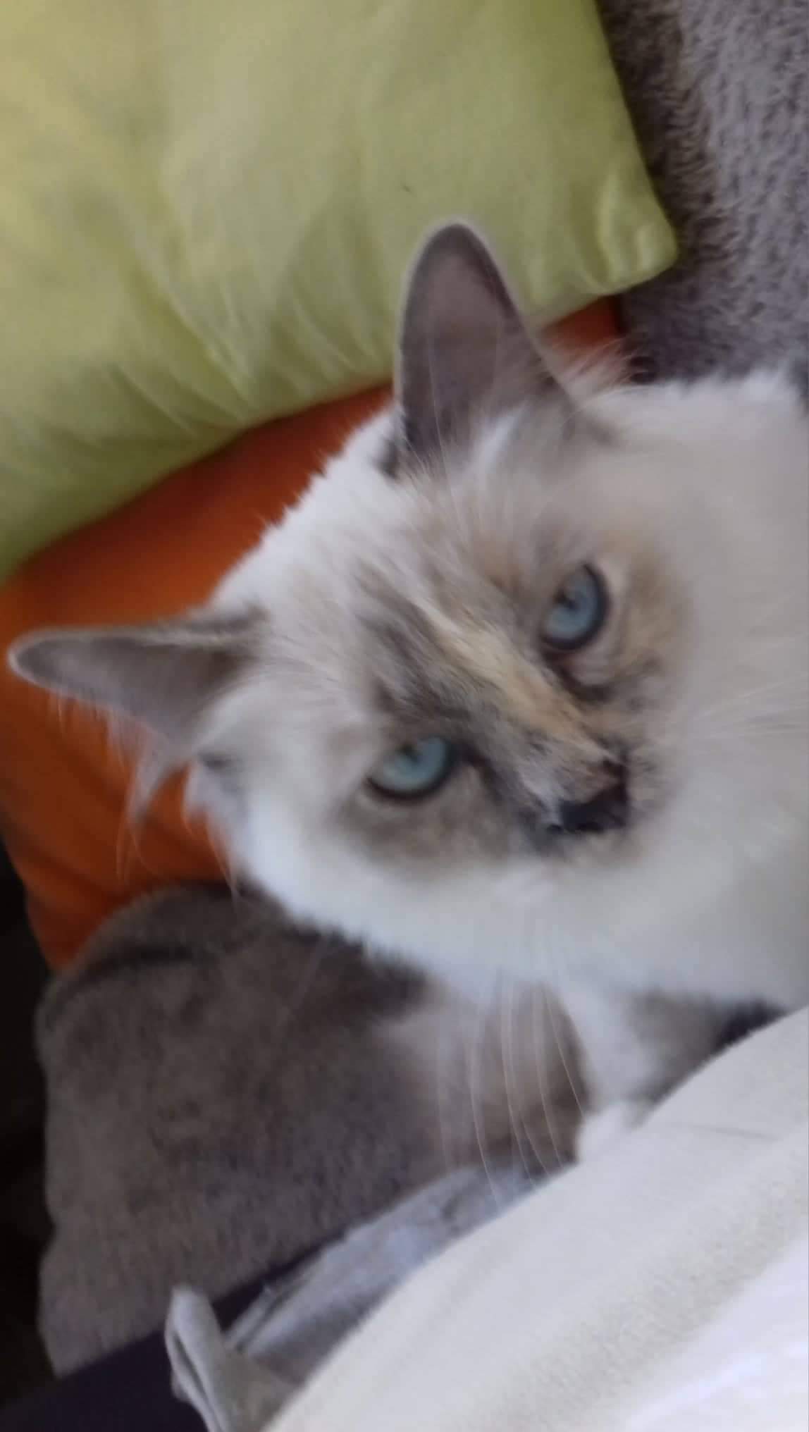 received_265597654143630