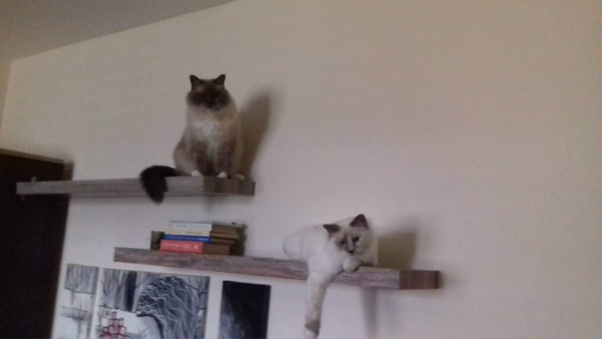 received_331423114321717