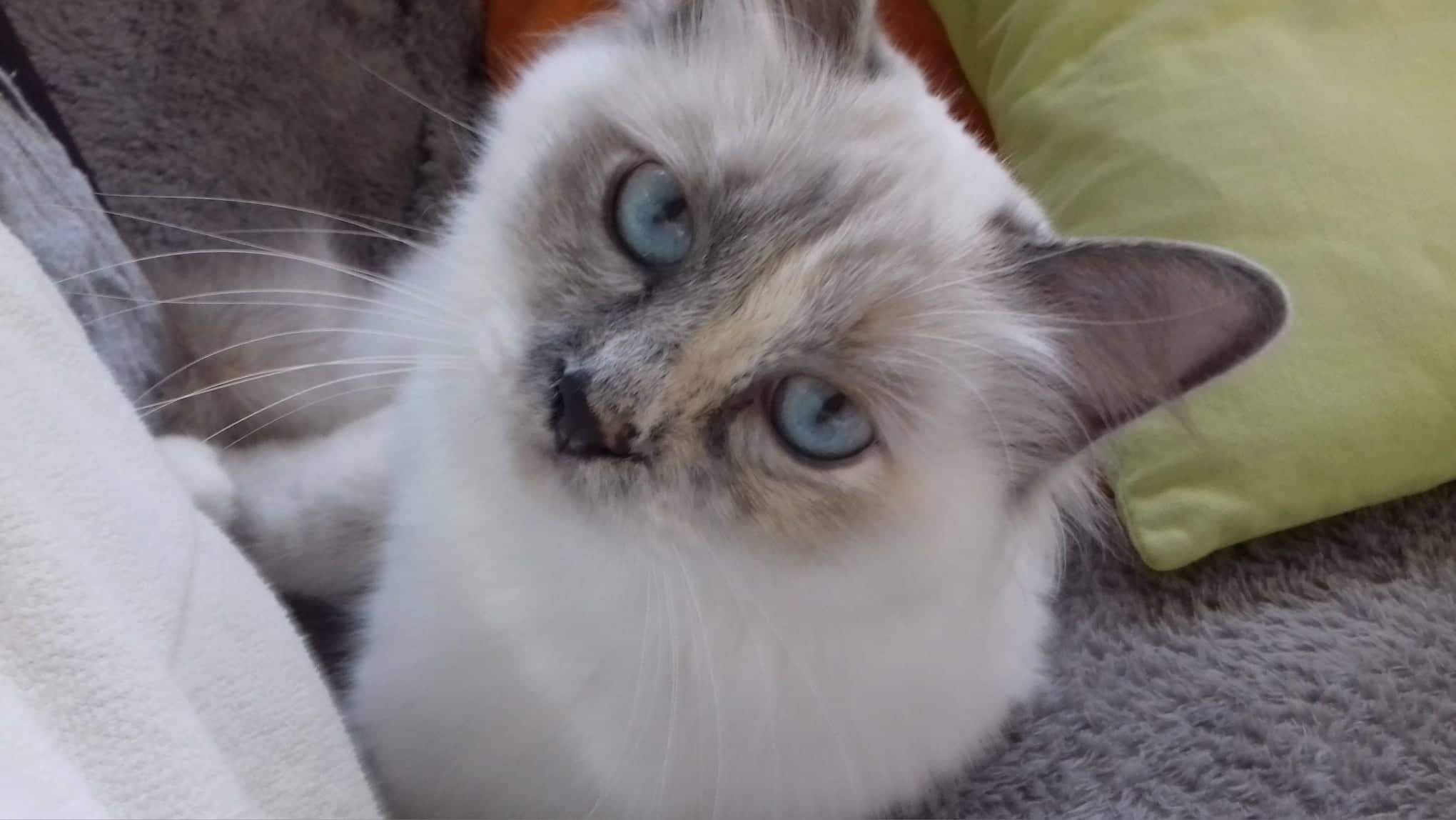 received_287104555480500