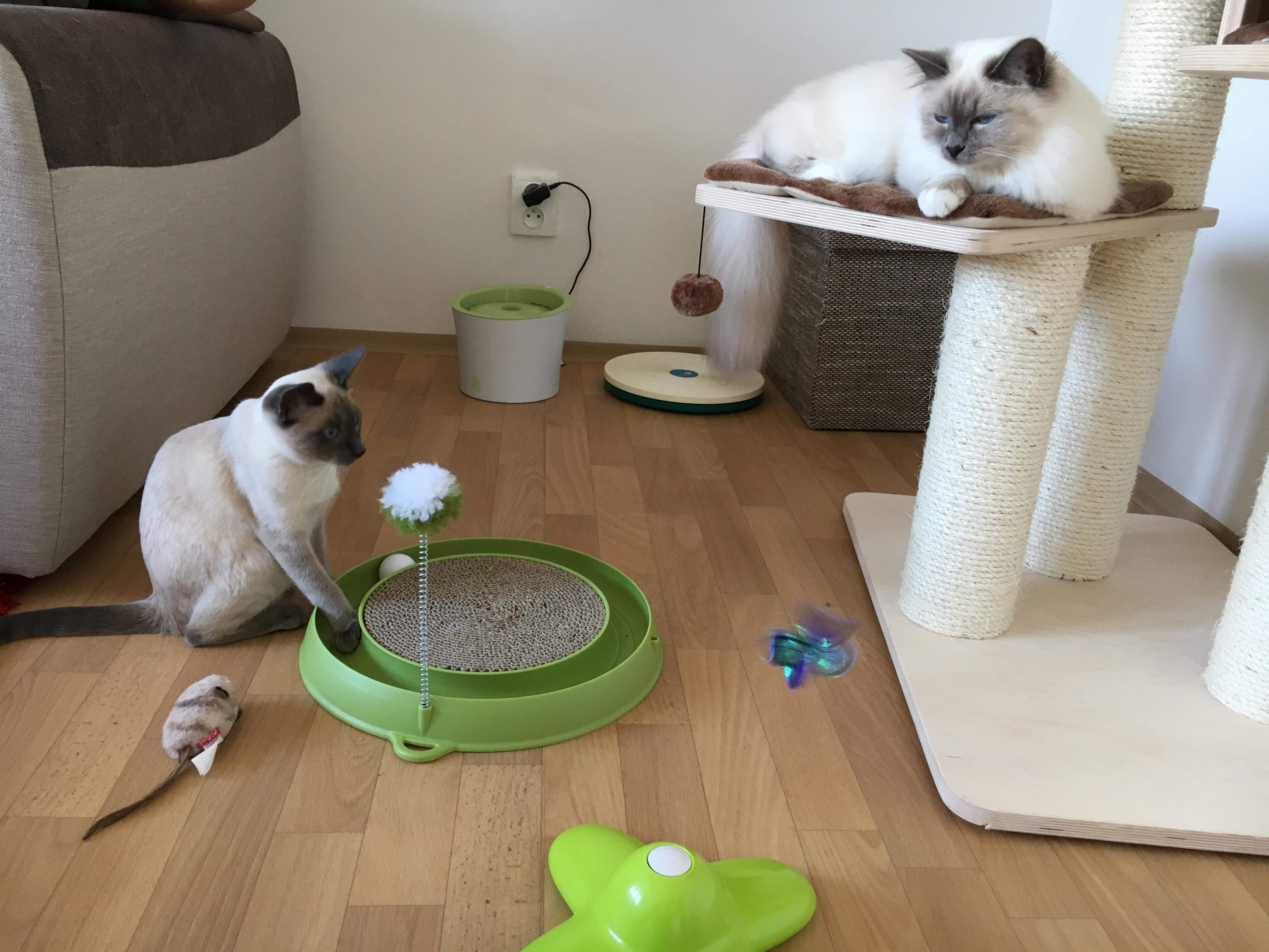 received_316203365878766