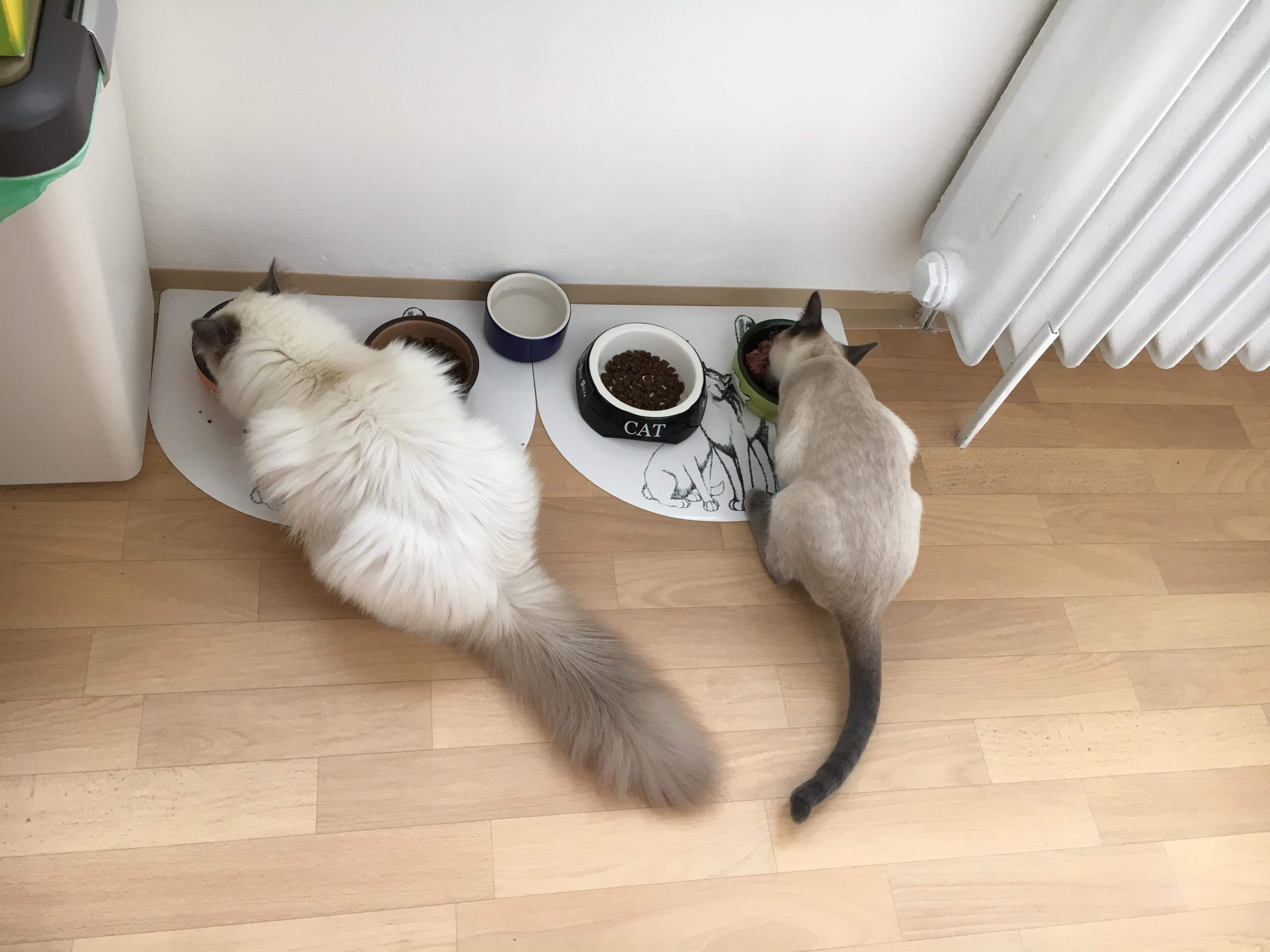 received_319624192102082