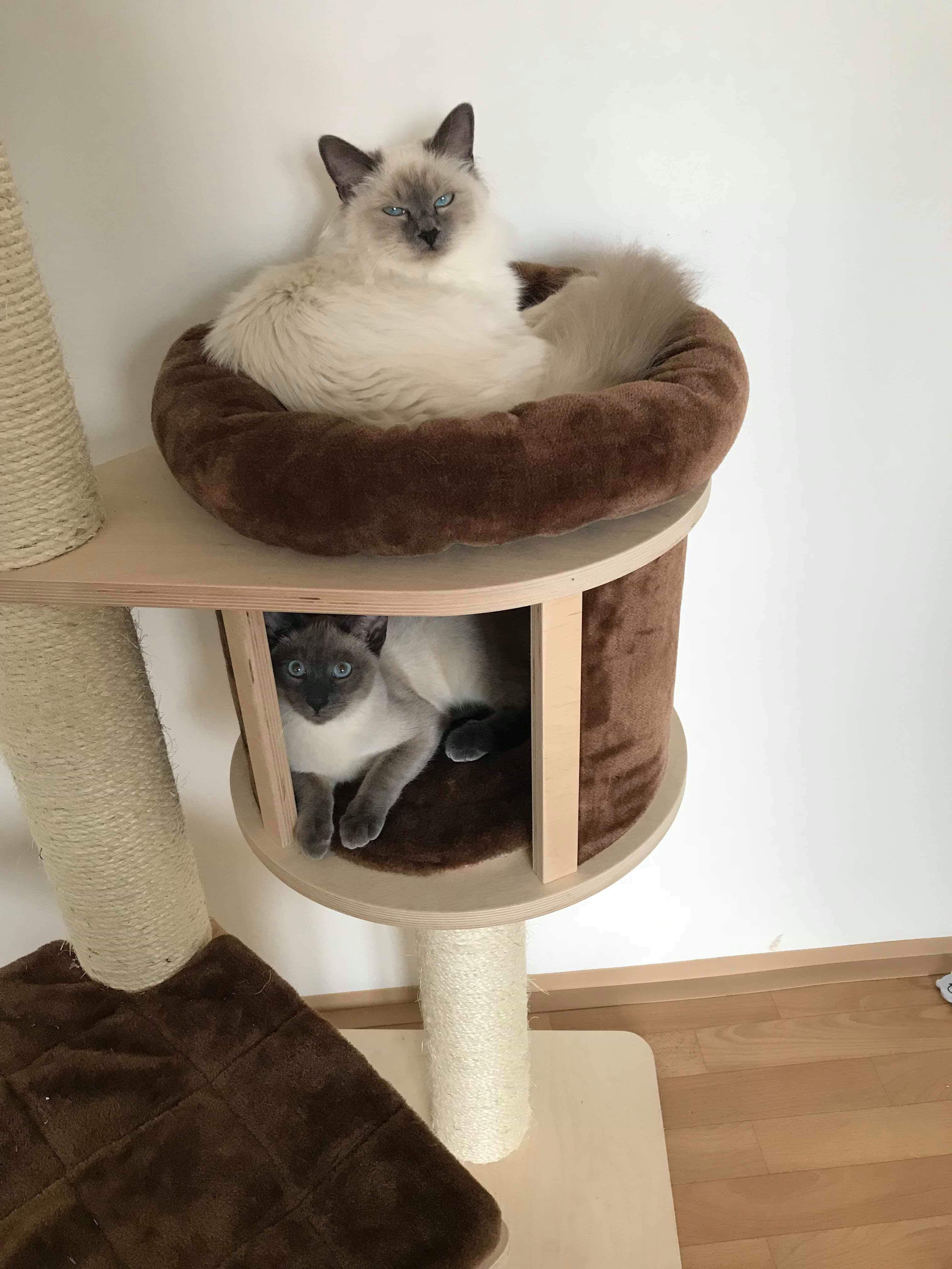 received_459217114602152