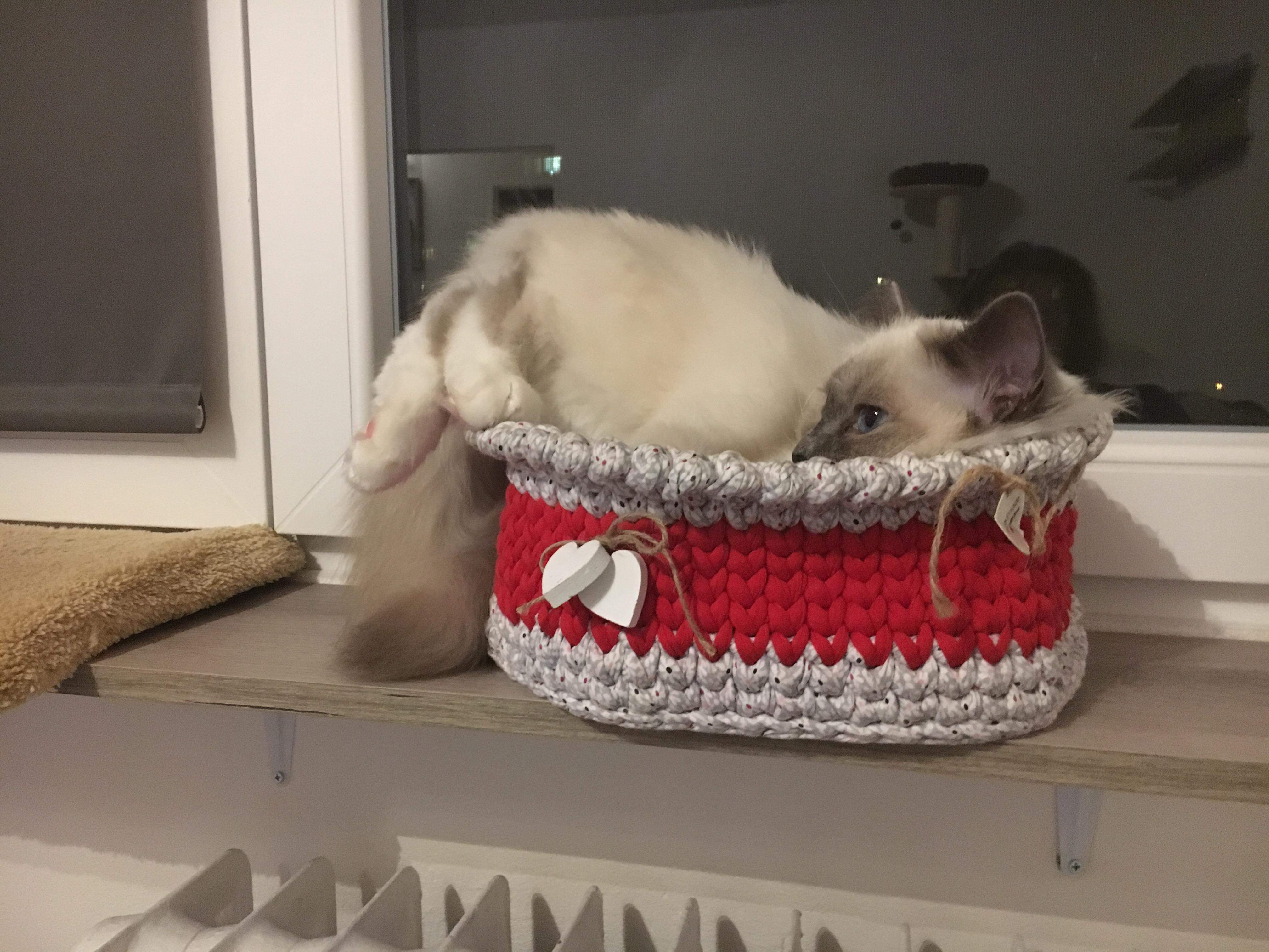 received_553155871779135