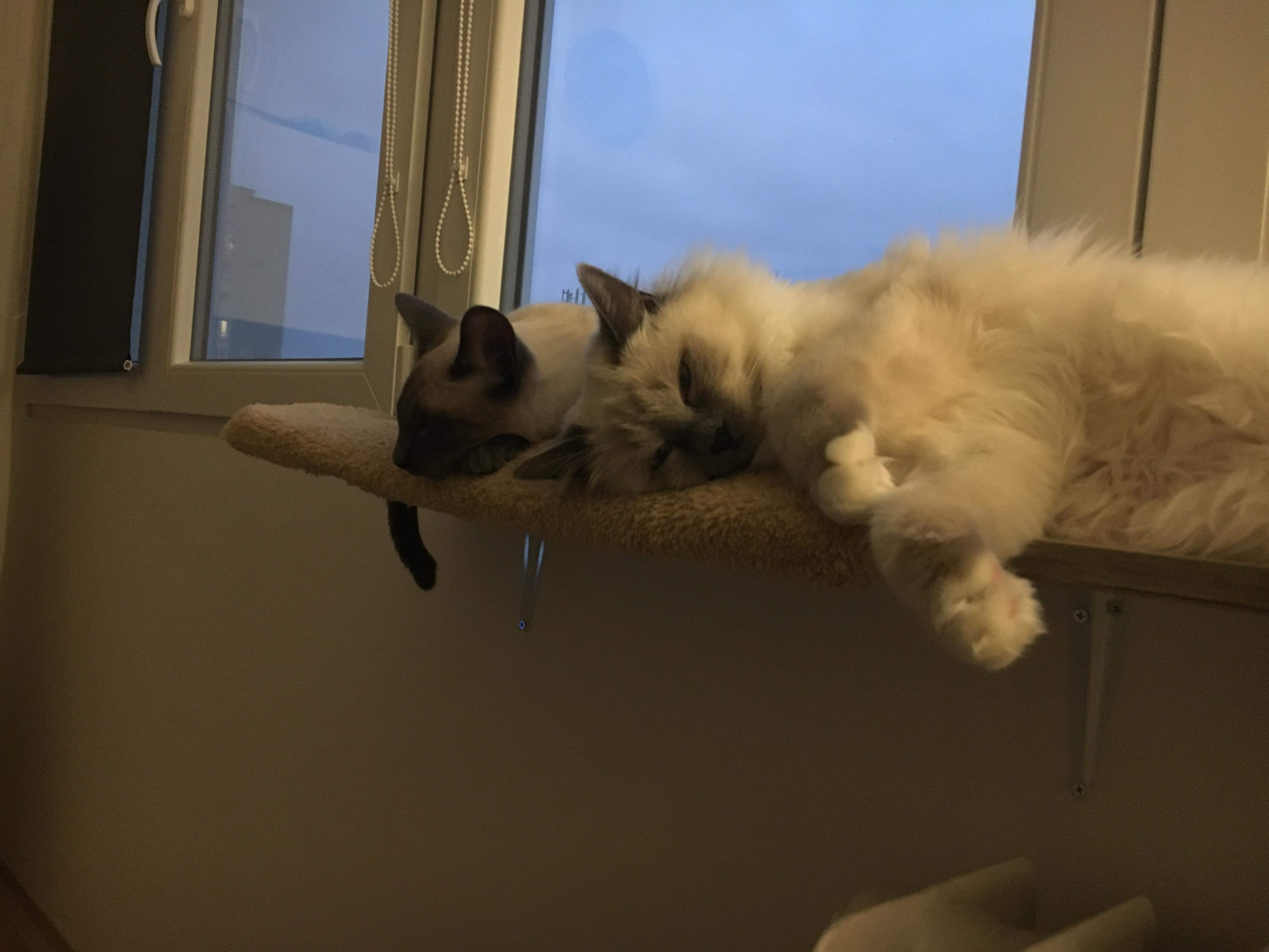 received_563698880753798