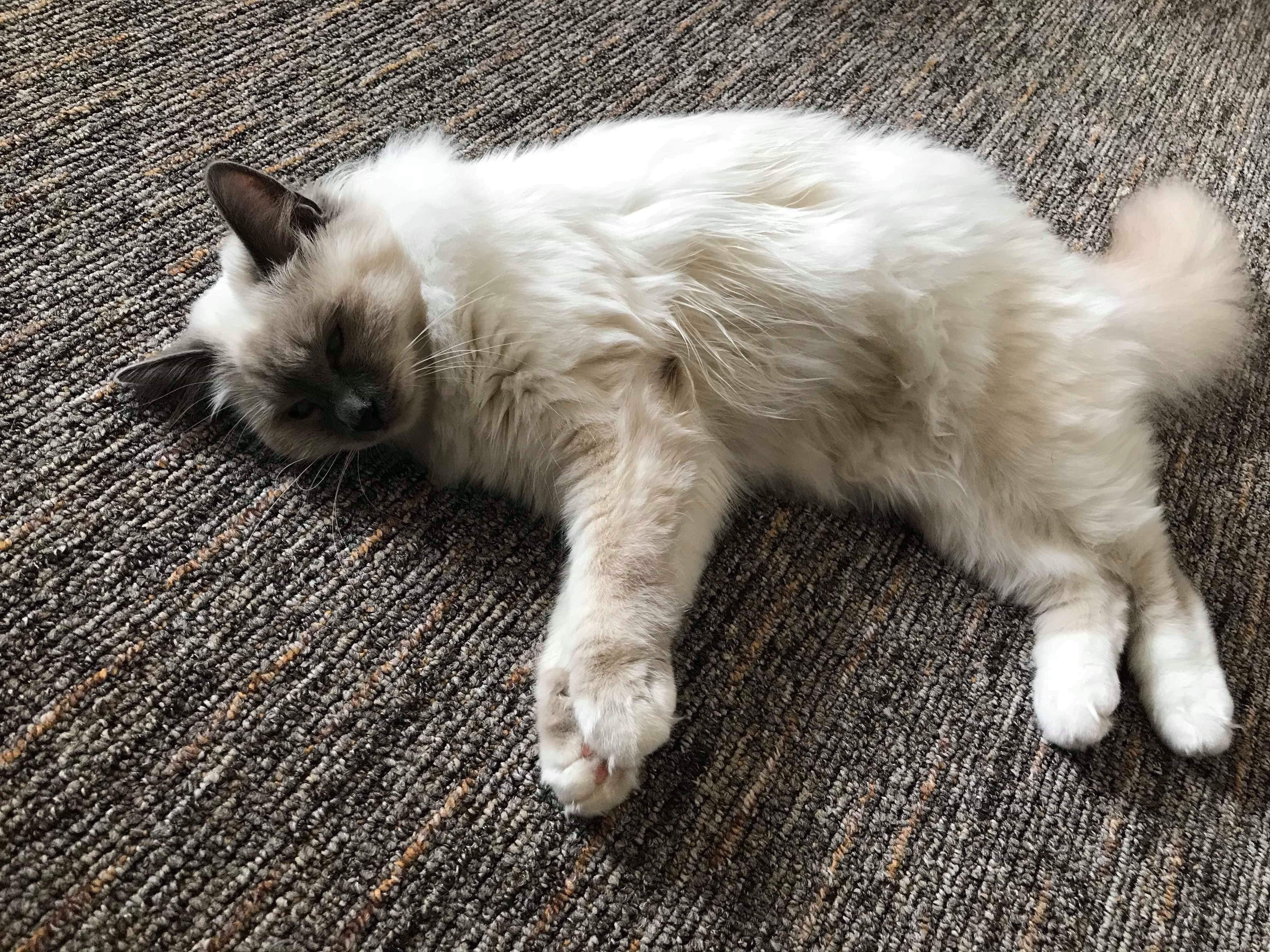 received_914548138741214