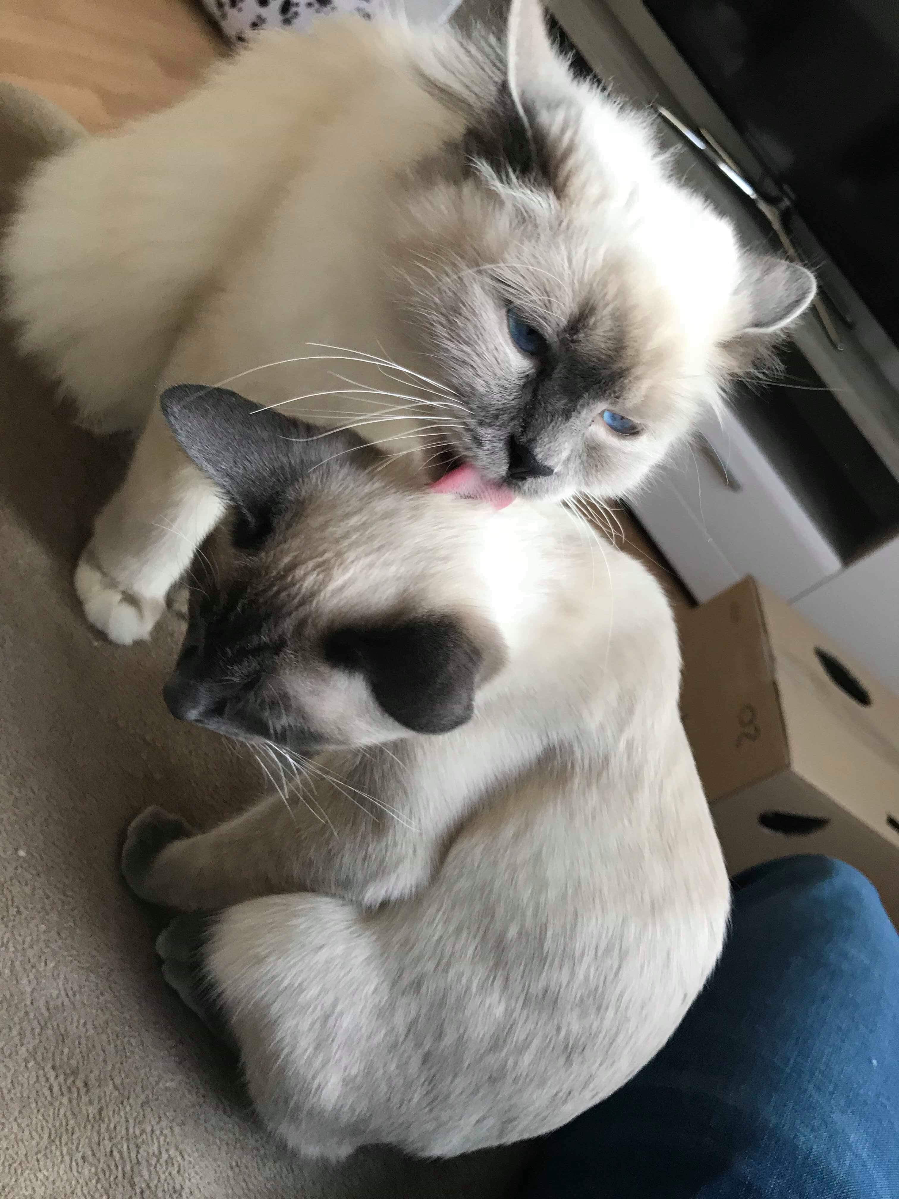 received_2196764687312458