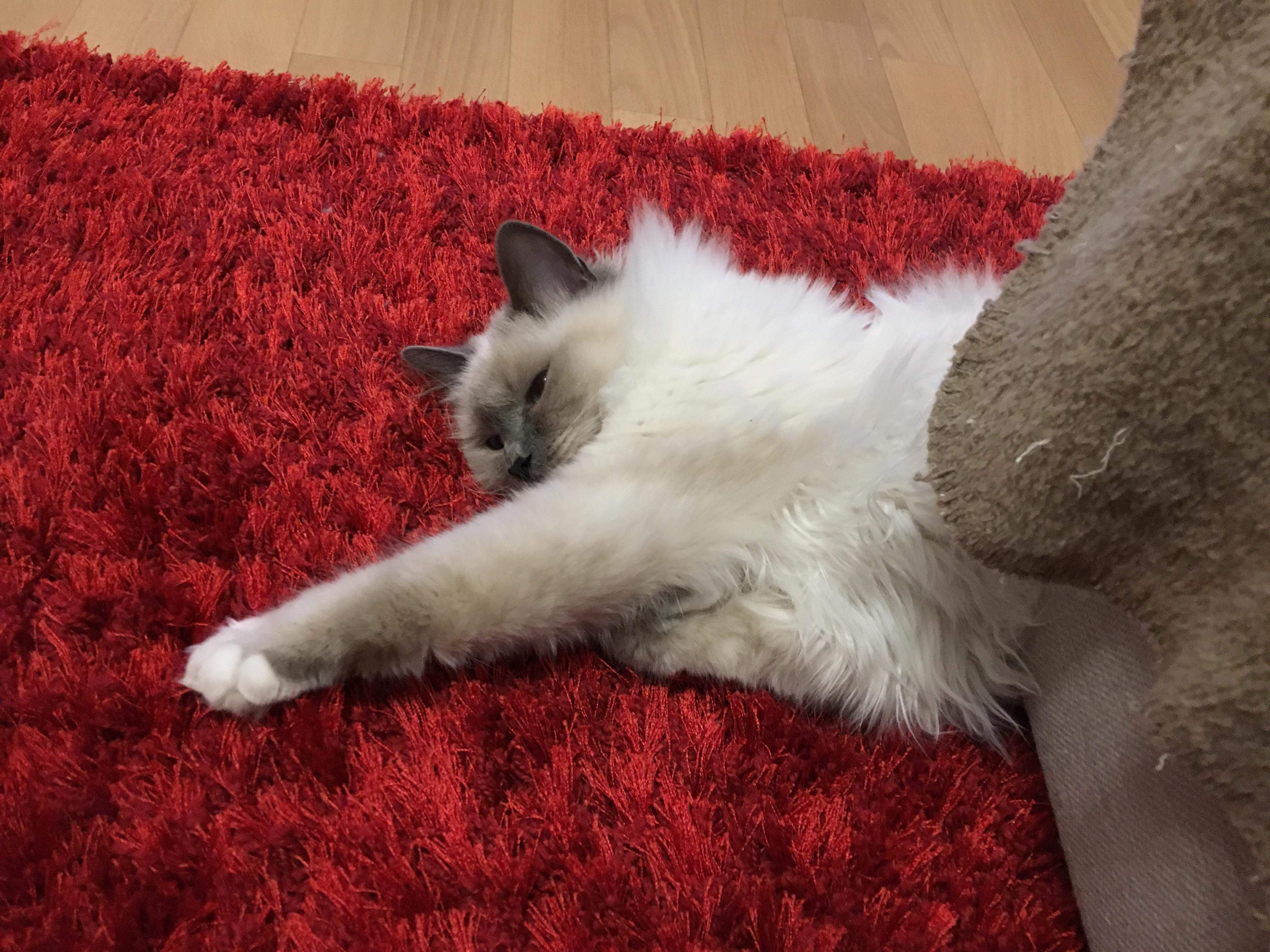 received_582534335510406