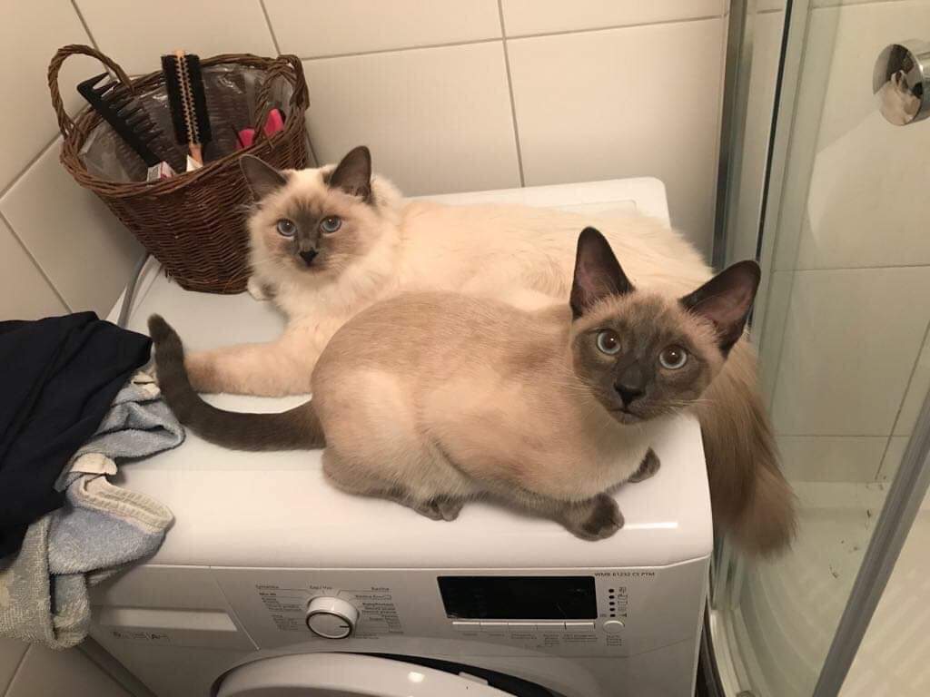 received_542294906255796