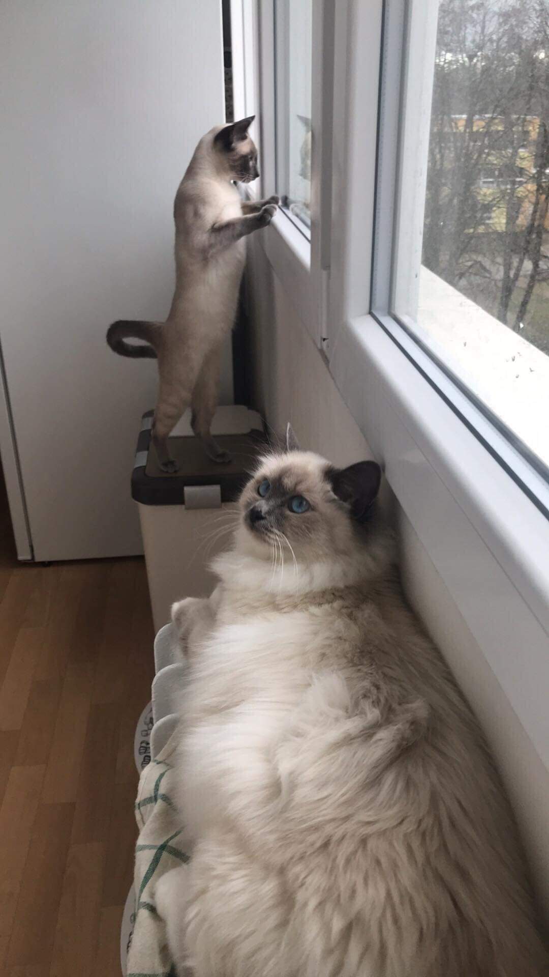 received_1148460861976104