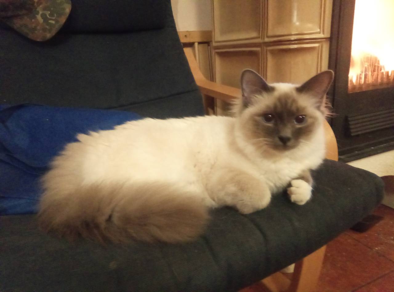 IMG-3acee988031ef1f3a79393fc28dfab28-V