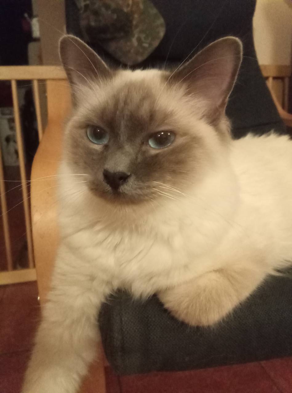 IMG-eb7baddec9c6d28f07f64d25230560ea-V