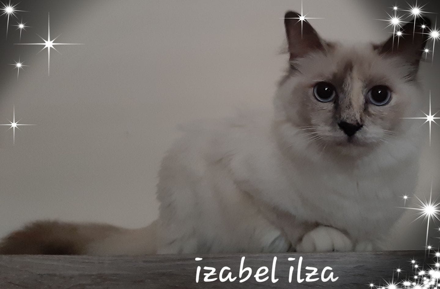 51701528_2057044454373050_8729724035044212736_o