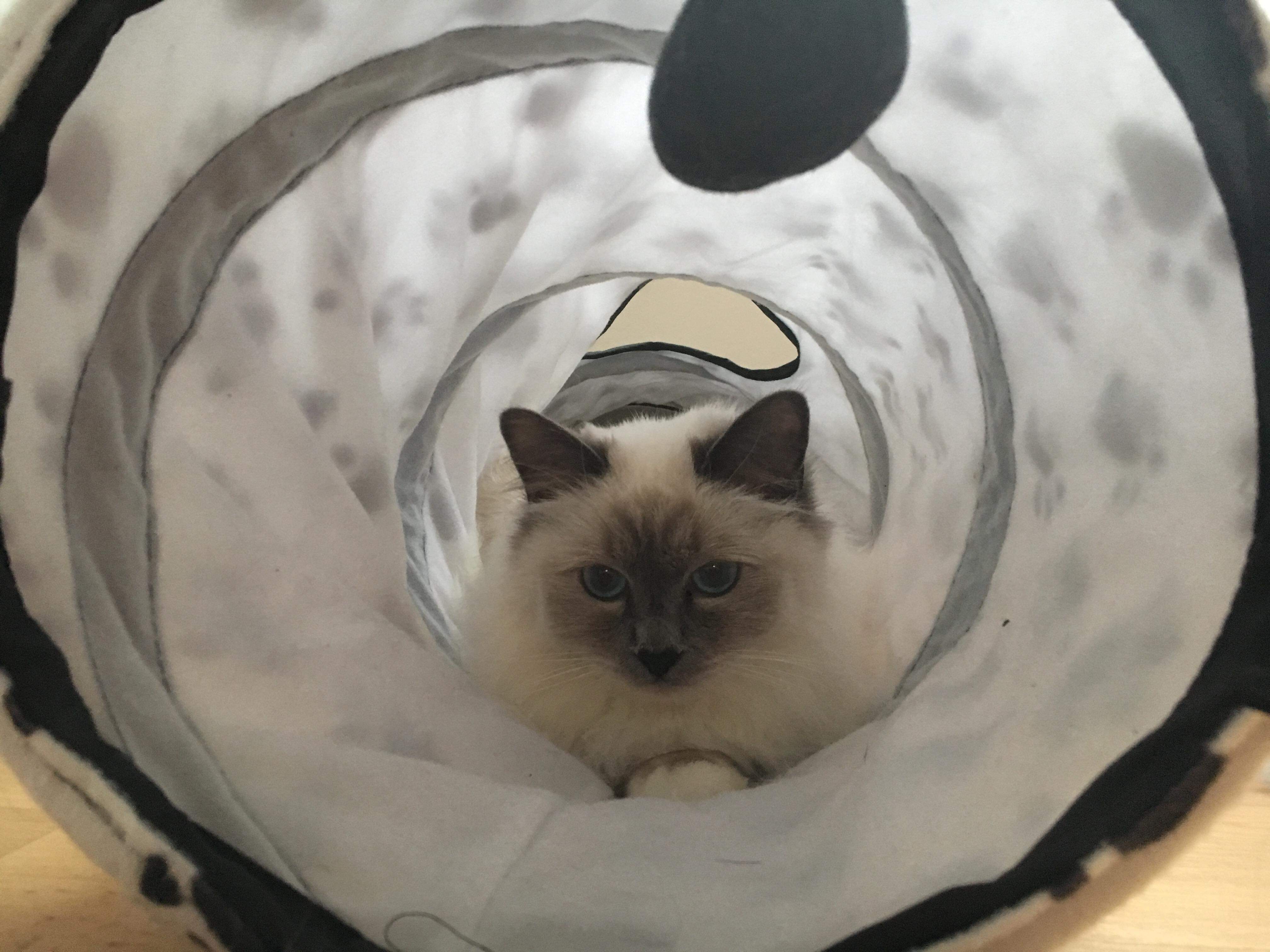 received_283092222382826