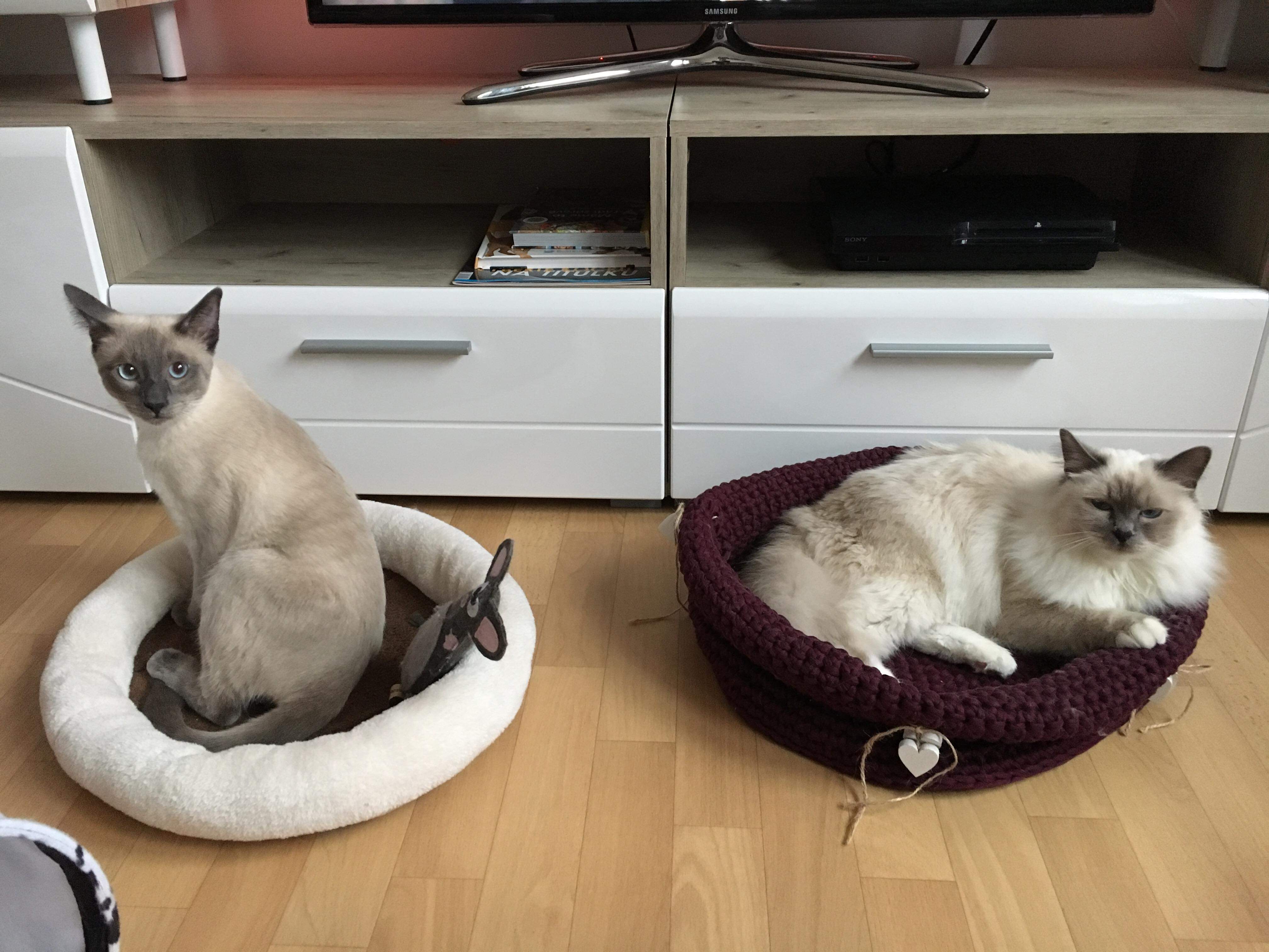 received_305556556752570